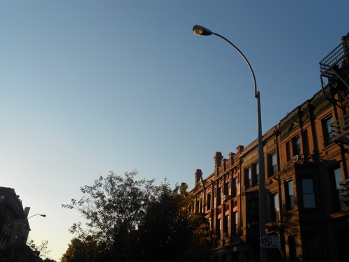 bed-stuy6