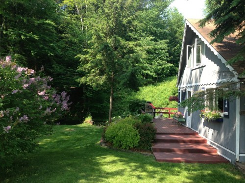 2 bed cottage margaretville ny2