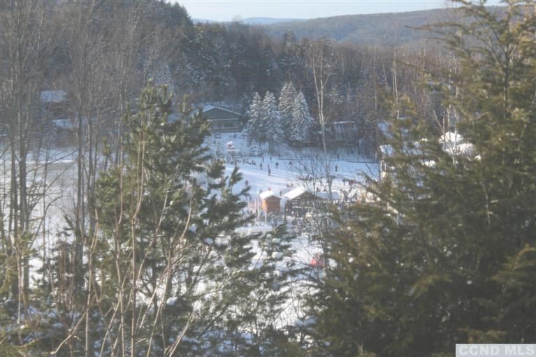 154 trailside road windham ny3