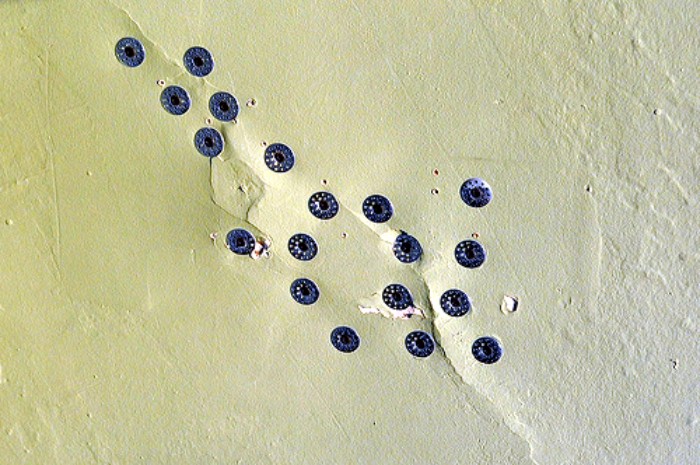 Plaster washers in action. Photo:repairbrickcitylove.com