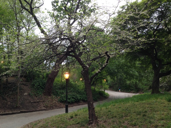prospect-park-jogger-051414