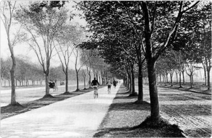 Cycling on Ocean Parkway. Photo: NYC Parks