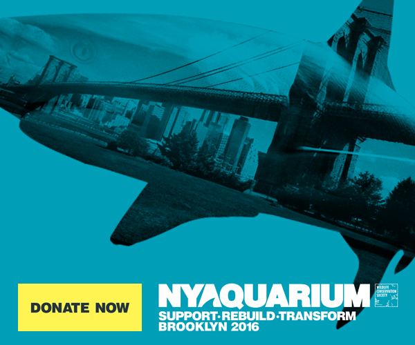 WCS_FB_3-13_DONATE_NOW