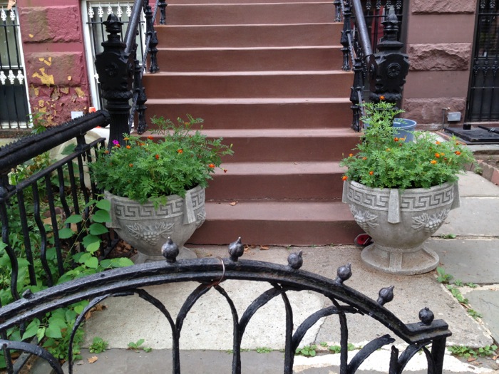 marigolds-bed-stuy-072314