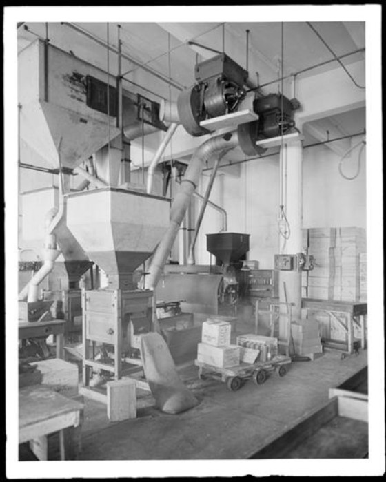 Peanut butter machines. 1916 Photograph: Museum of the City of New York
