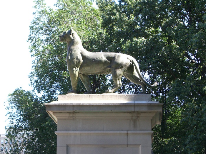 Park lion