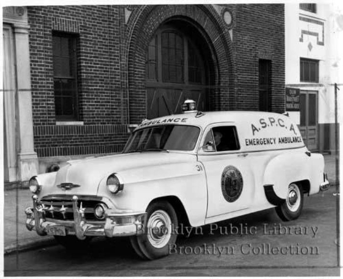 1953 photo: Brooklyn Public Library