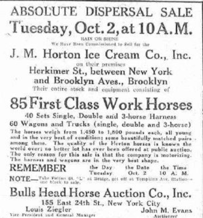 Ad for horse sale, 1928. Brooklyn Eagle