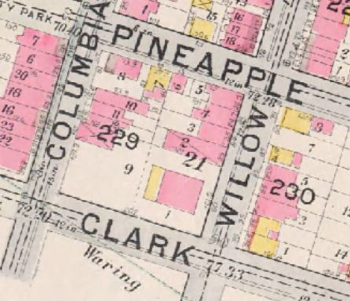 1898 map, NY Public Library. House is at the intersection of Clark and Willow.
