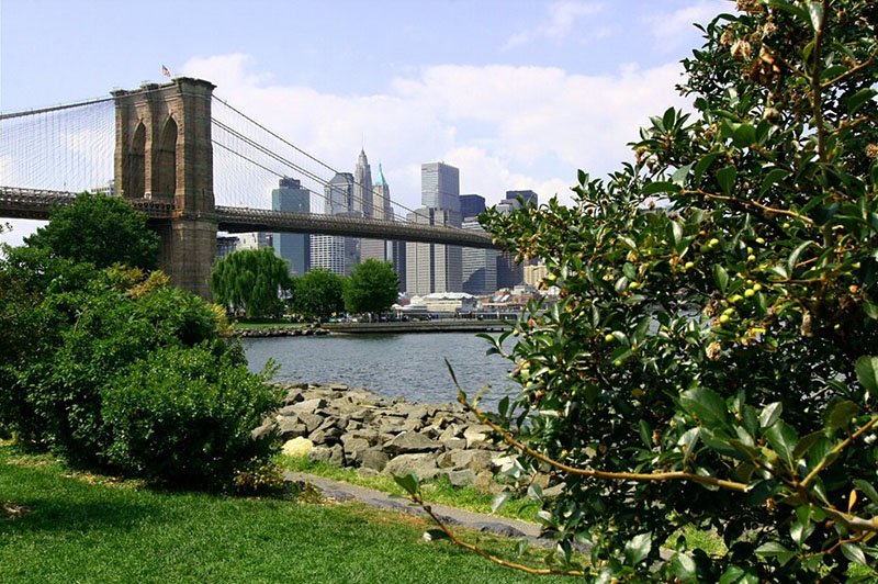 Brooklyn-Bridge-Park-Dumbo-Greenery