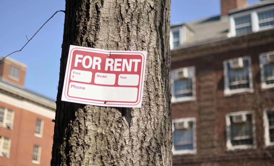 for-rent-tree-121214