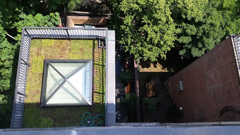 groundworks-inc-brooklyn-nyc-apartment-garden-green-roof