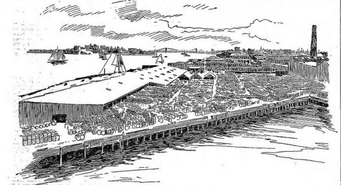 Open pier, like pier 40. Brooklyn Eagle, 1898
