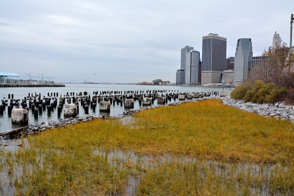 Brooklyn Bridge Park