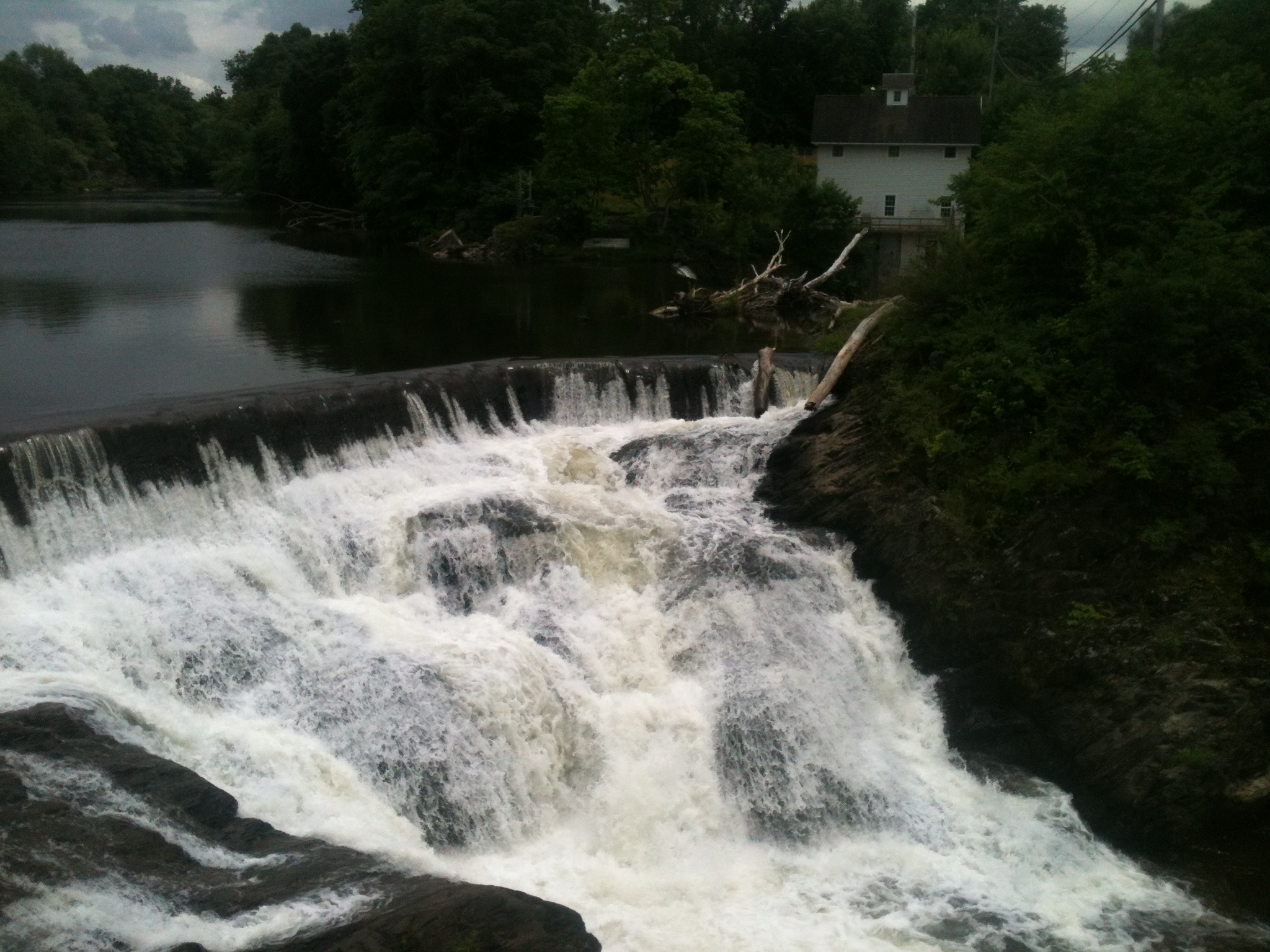 beaverkill falls