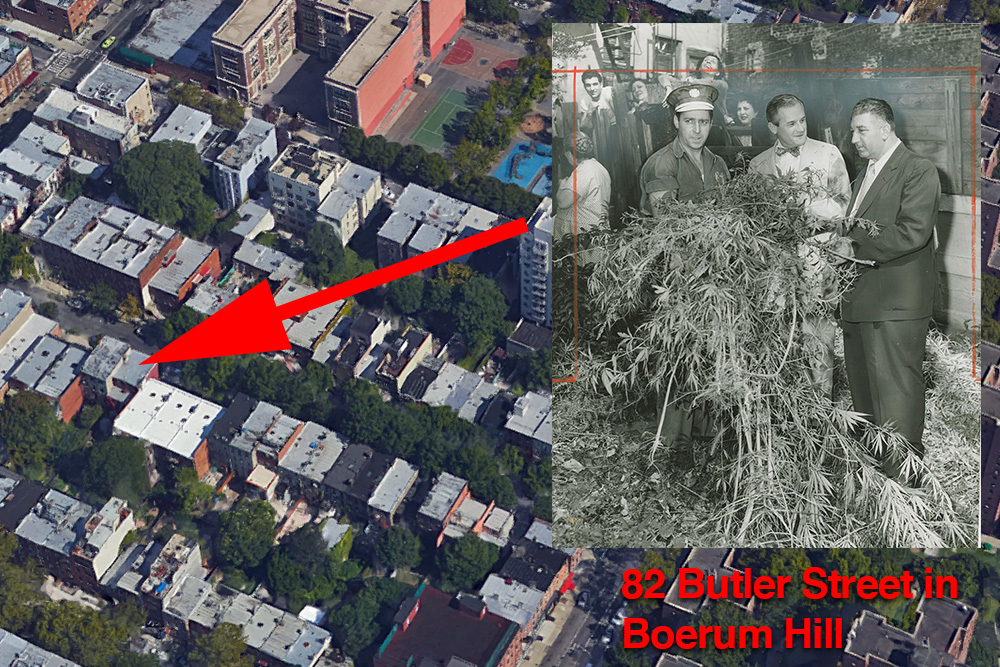 Brooklyn-Marijuana-Farms-1951-82-Butler-Street-Boerum-Hill-2
