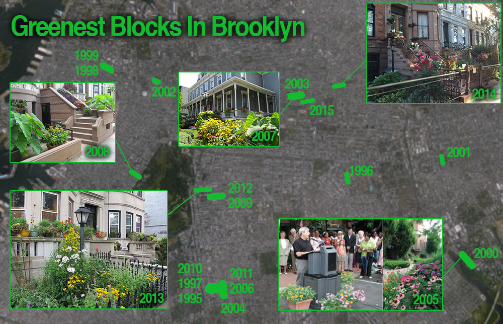 Mapping-Brooklyns-Greenest-Blocks-2-080515