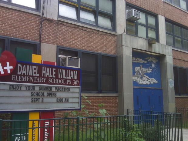 Brooklyn Rezoned Elementary Schools
