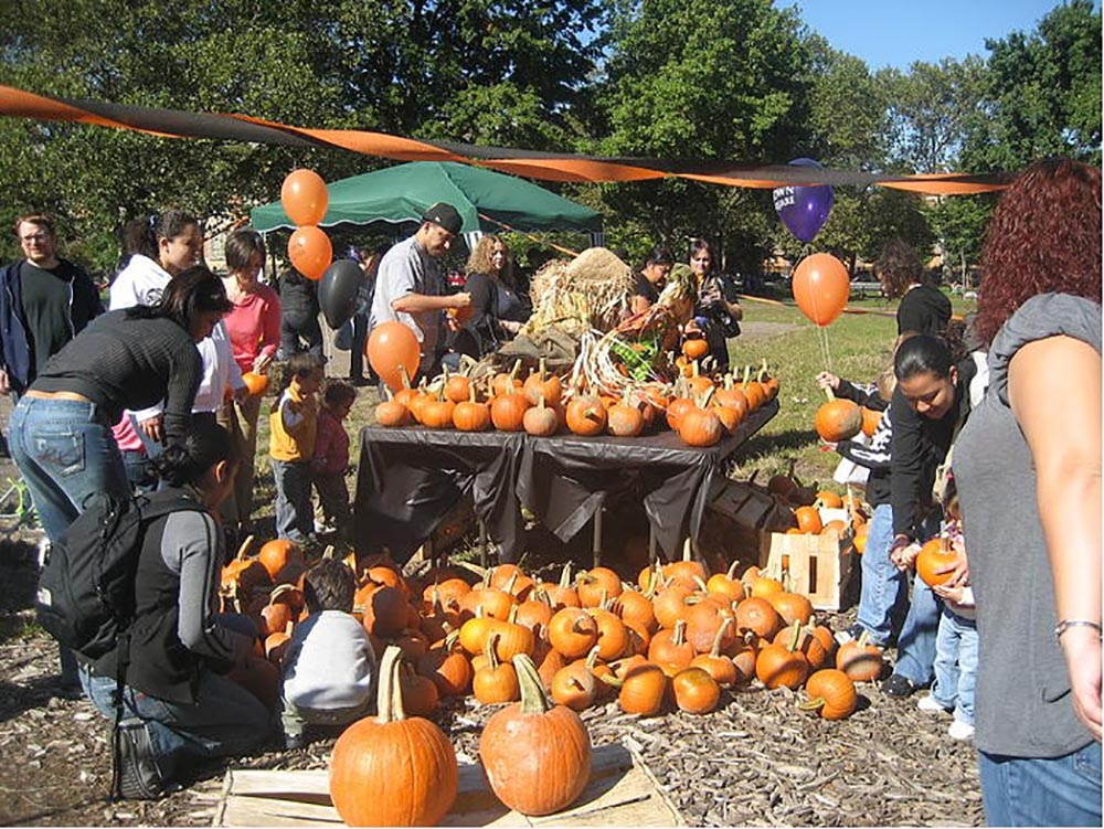 McCarren Park Pumpkin Picking