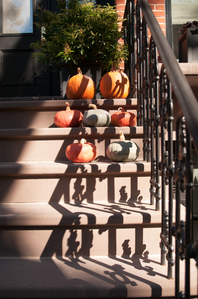 Pumpkins On Brooklyn Stoops