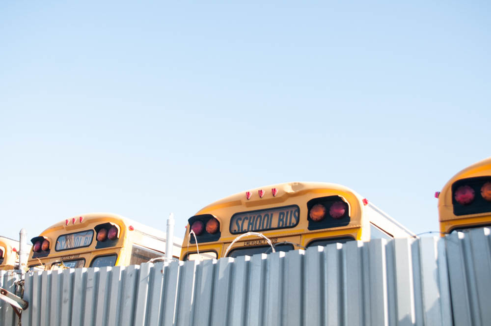 brooklyn-school-buses