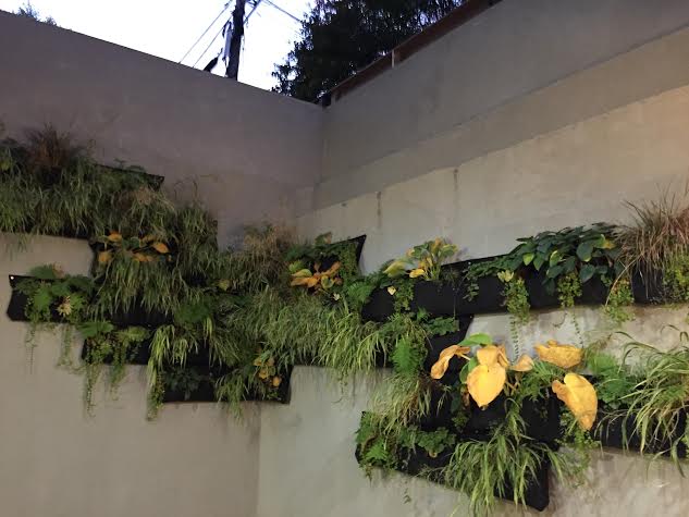 preschool-wall-plants