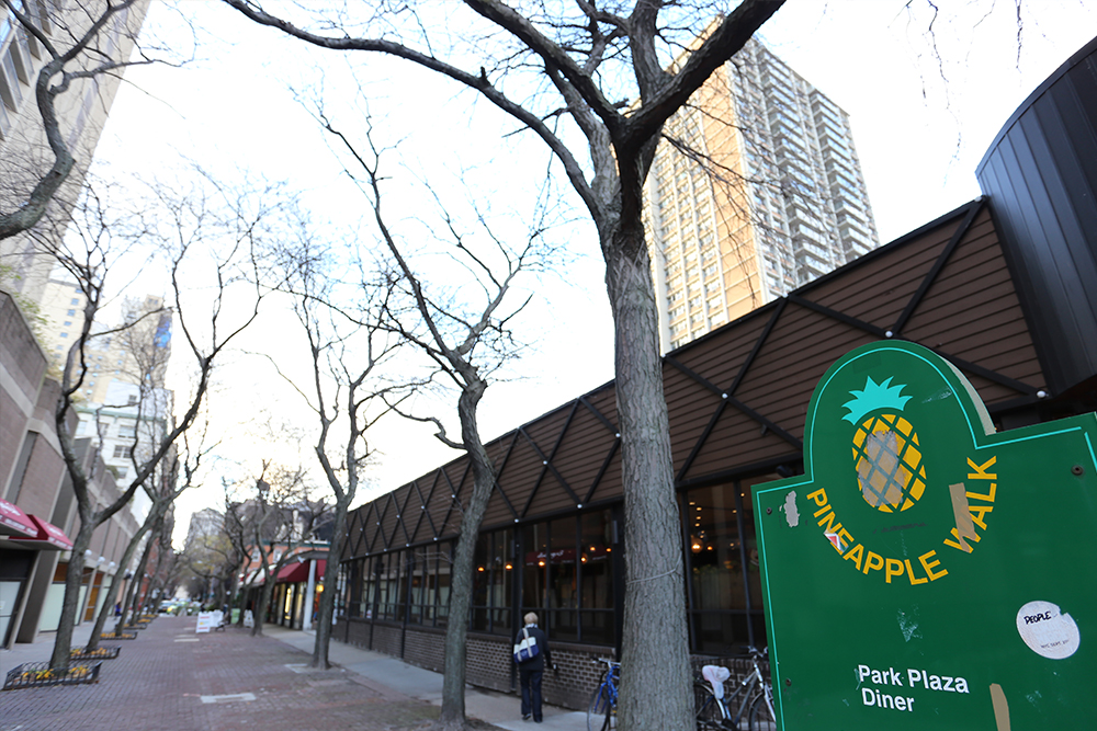 Brooklyn Heights Development Condo Pineapple Walk Cadman Plaza Whitman