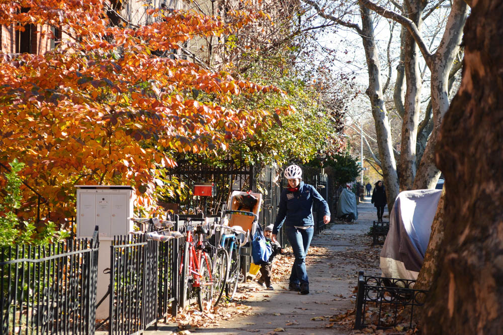 Clinton Hill Brooklyn fall 2015