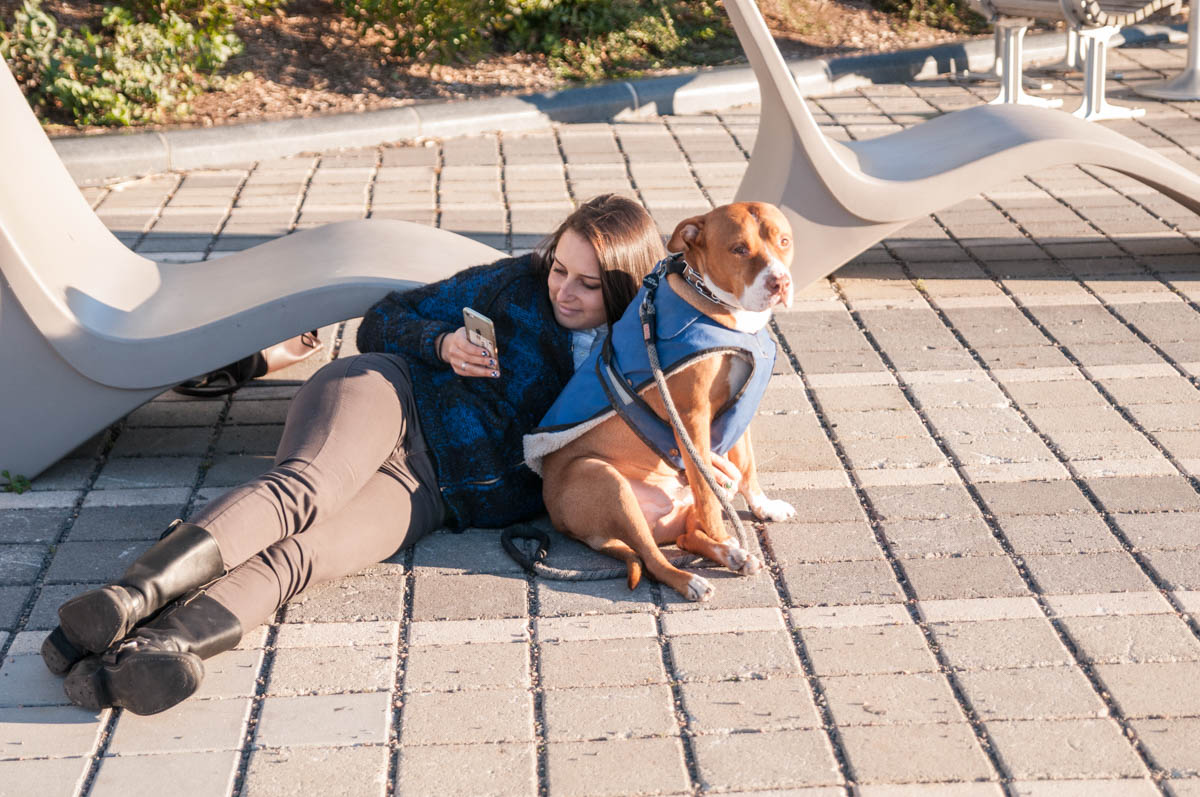 Williamsburg Brooklyn Girl With Dog