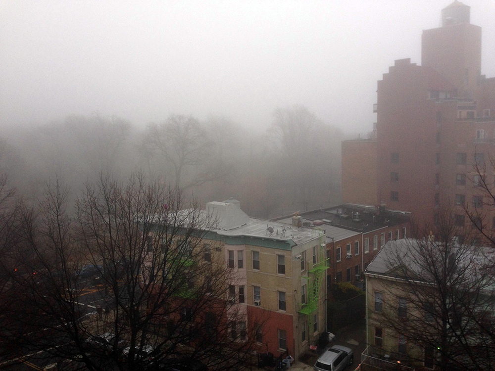 Windsor Terrace Brooklyn Fog