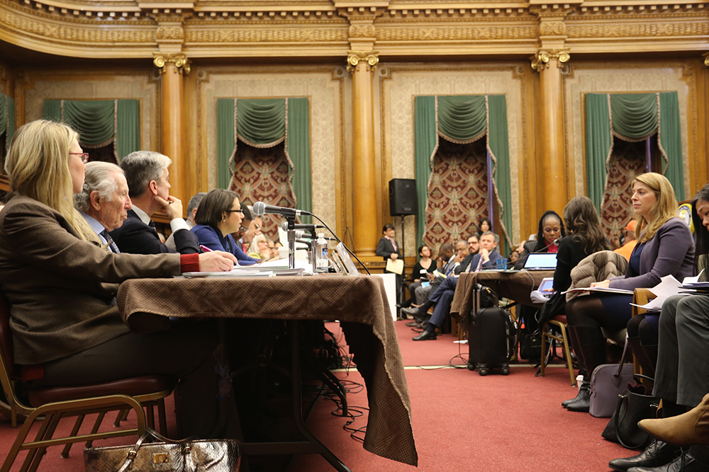 East New York Public Hearing