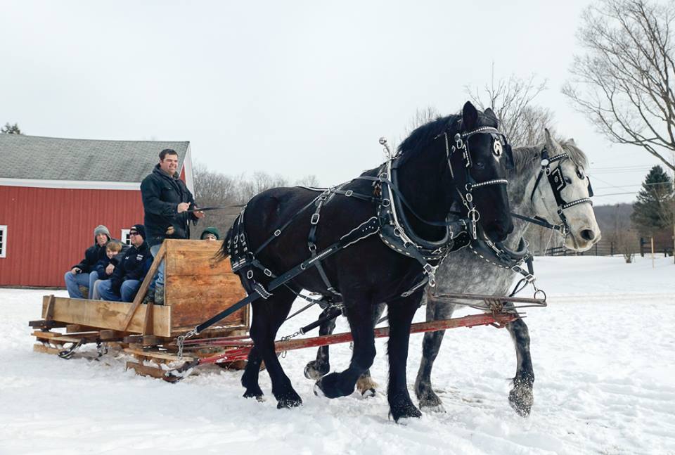 winter festival upstate new york 04