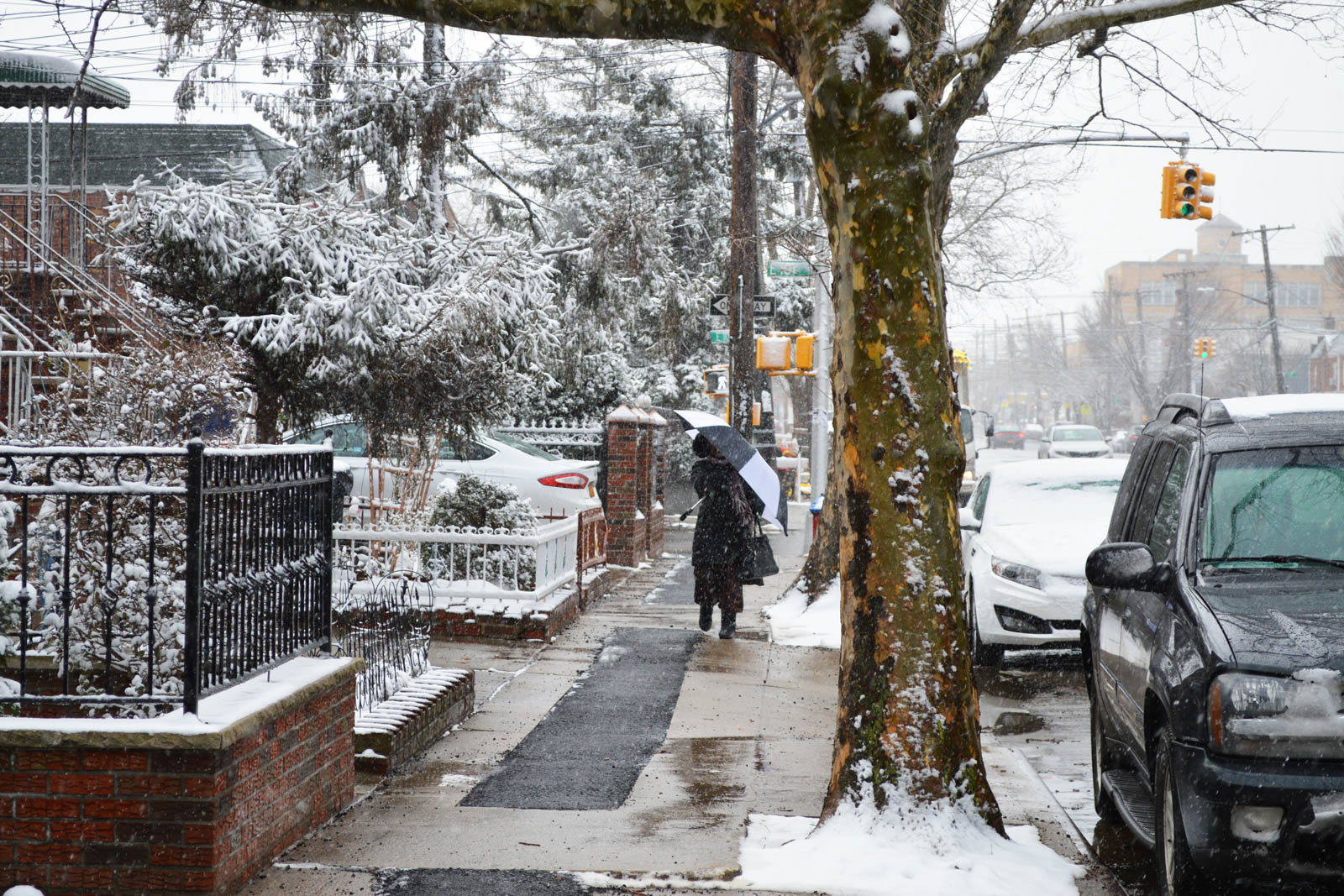 Canarsie Brooklyn Snow Winter 2016