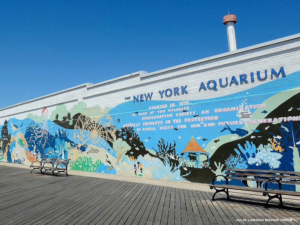 New York Aquarium NYC events Boardwalk Brews
