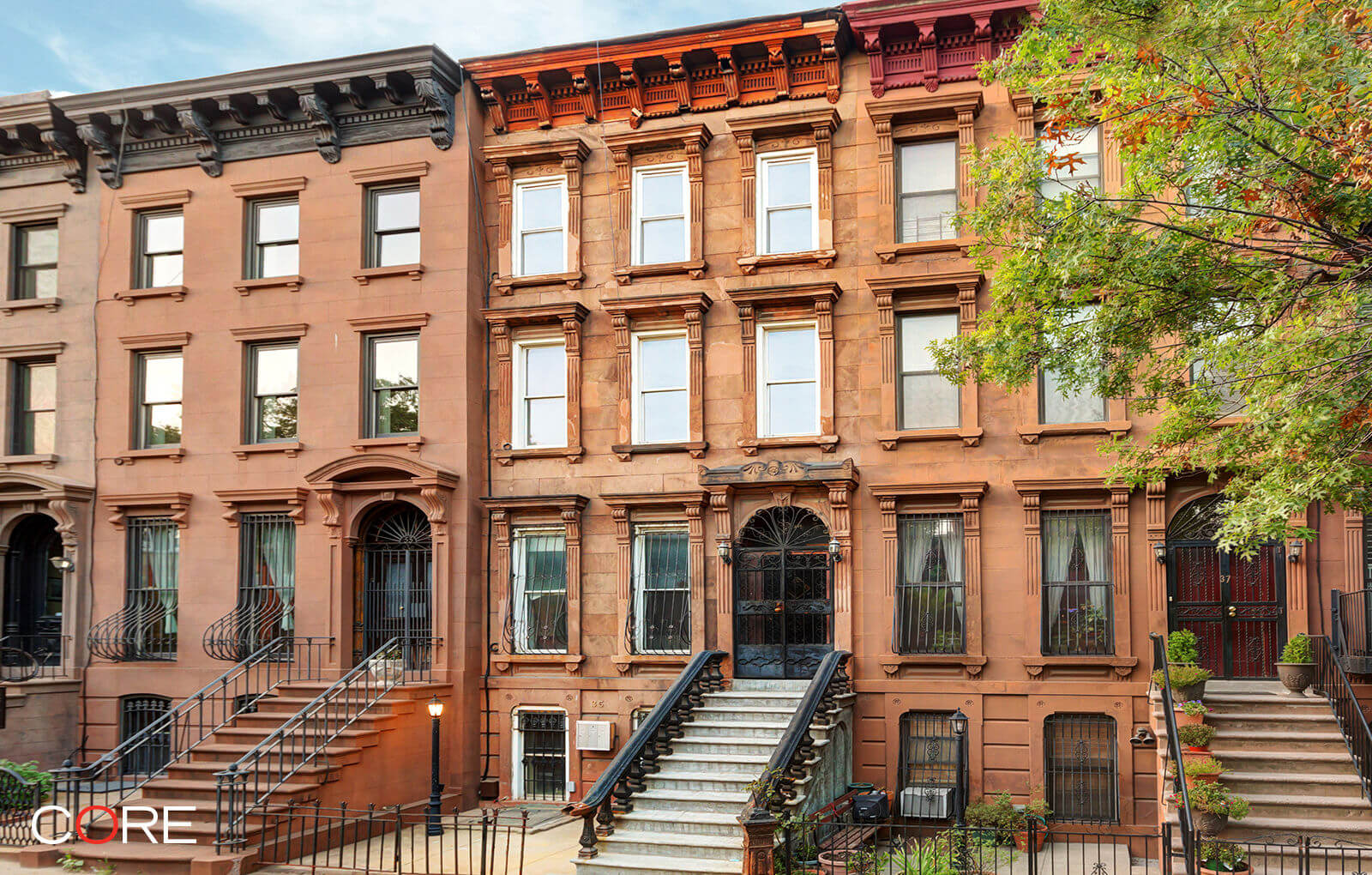 Brooklyn Homes for Sale in Ditmas Park West, Fiske Terrace, Bed Stuy