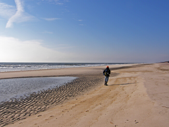 visit fire island summer guide smith point county park