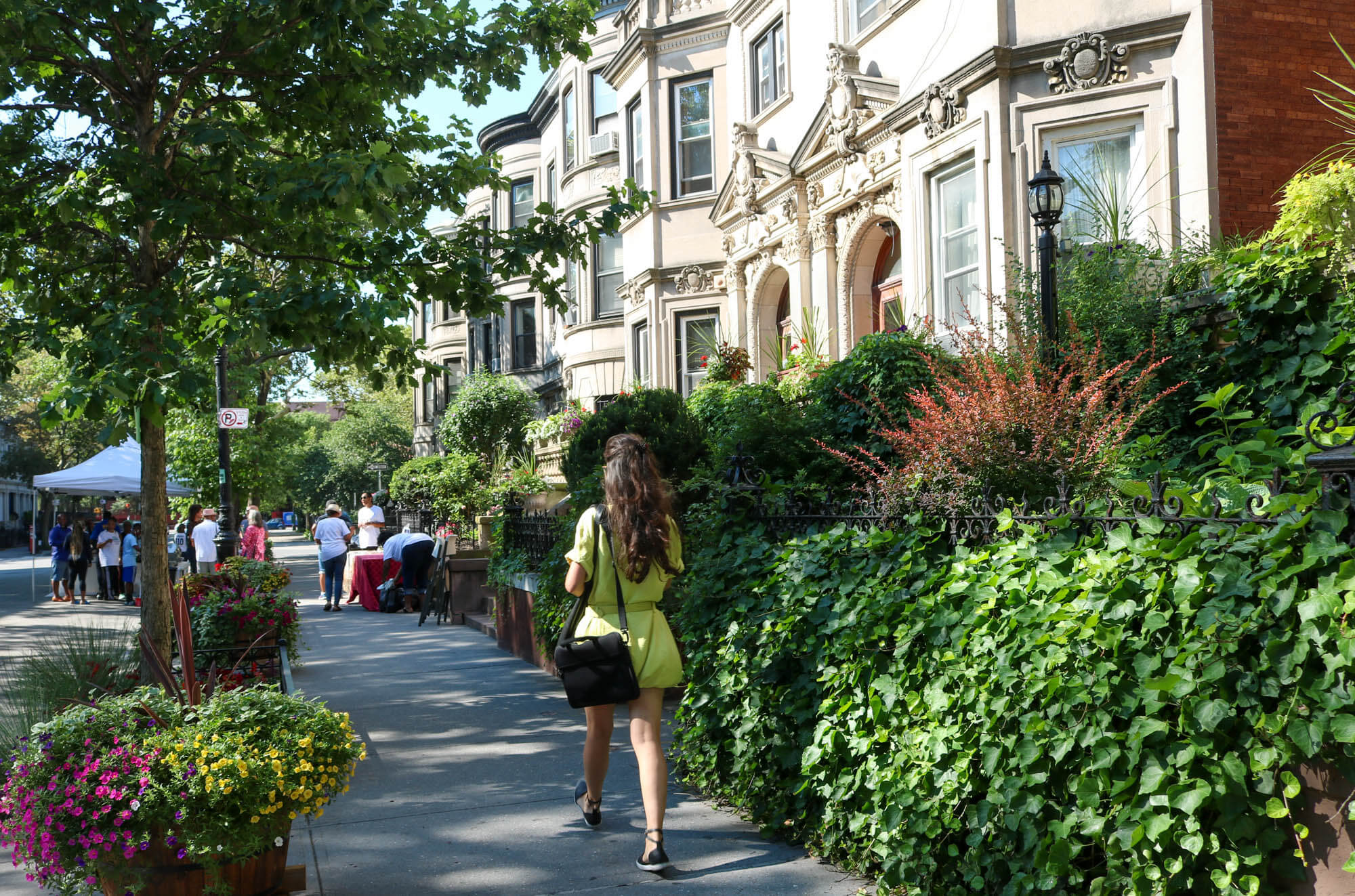 greenest block in brooklyn 2017 stuyvesant street bed stuy