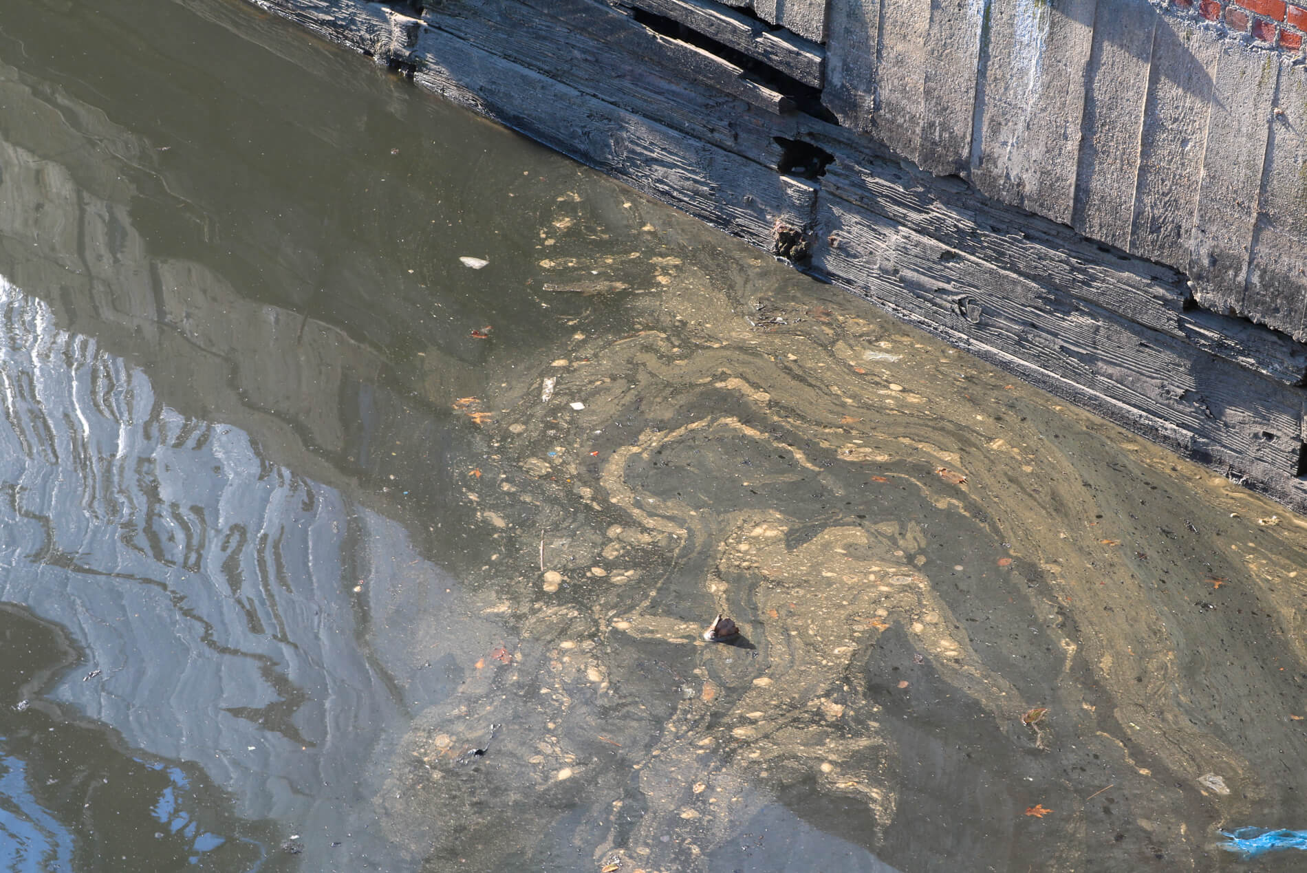 gowanus canal cleanup