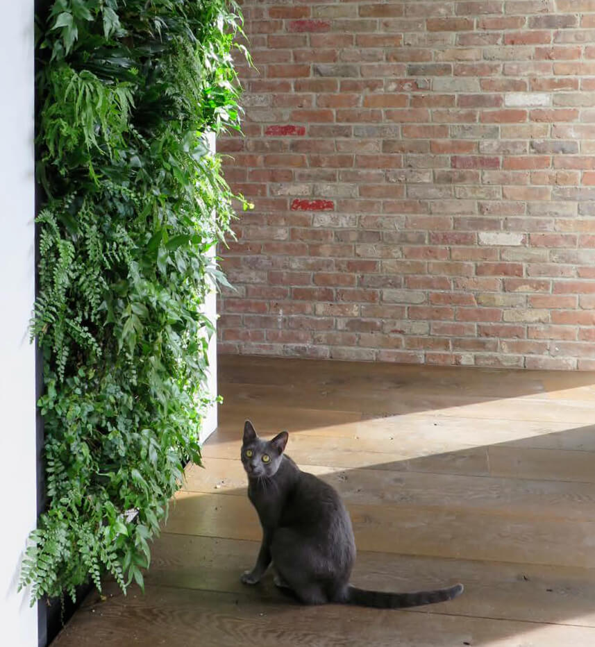 interior design ideas brooklyn green wall