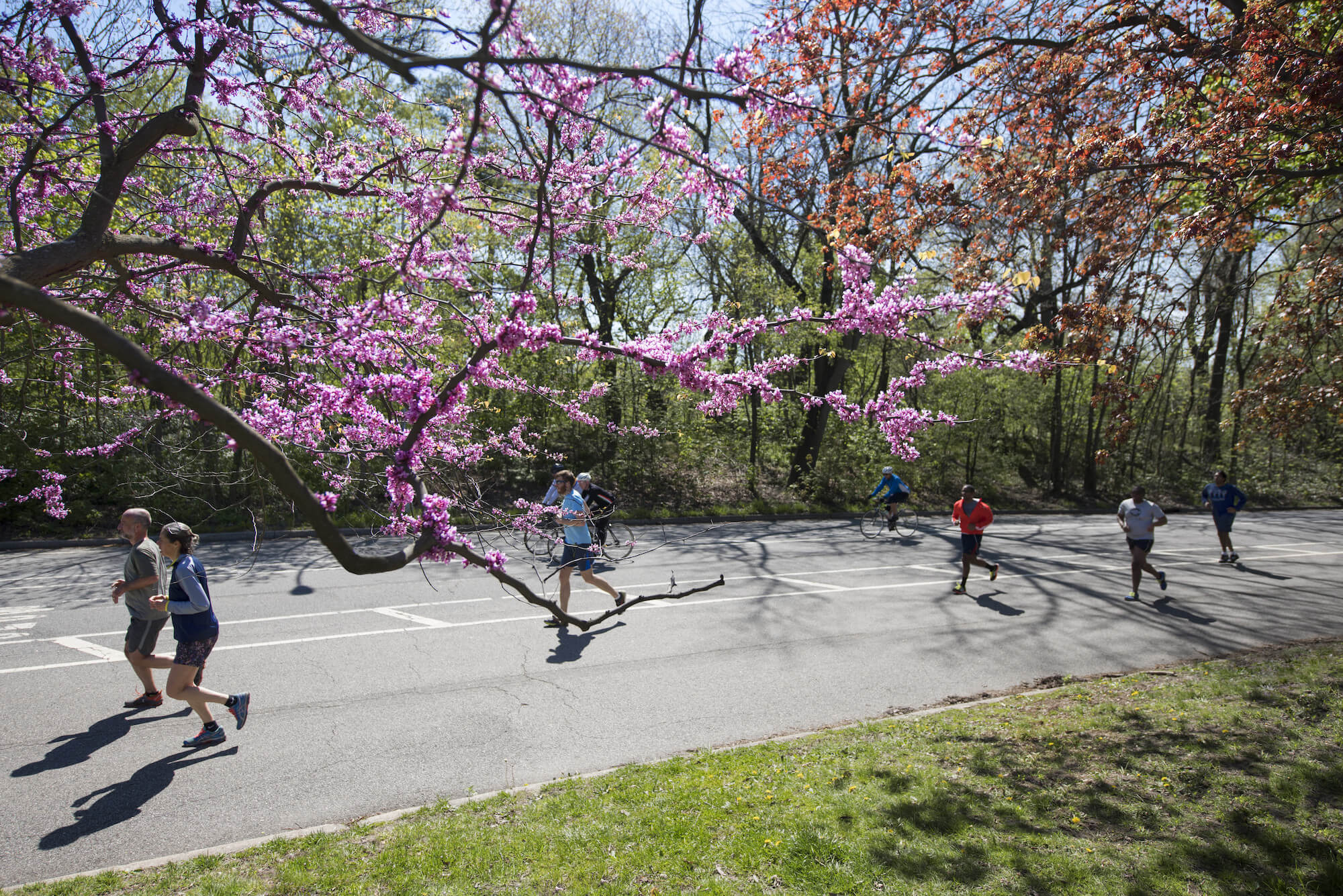 prospect park events opening weekend