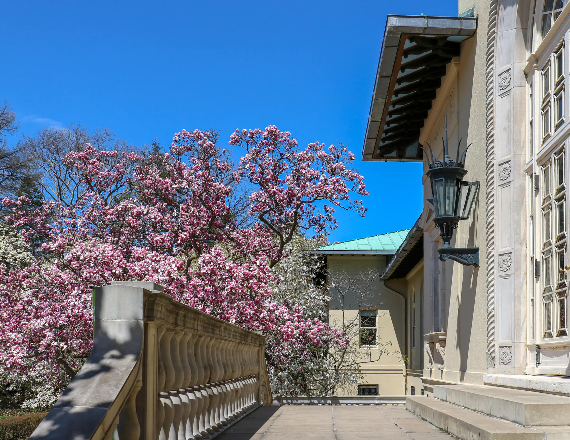 brooklyn botanic garden administration building