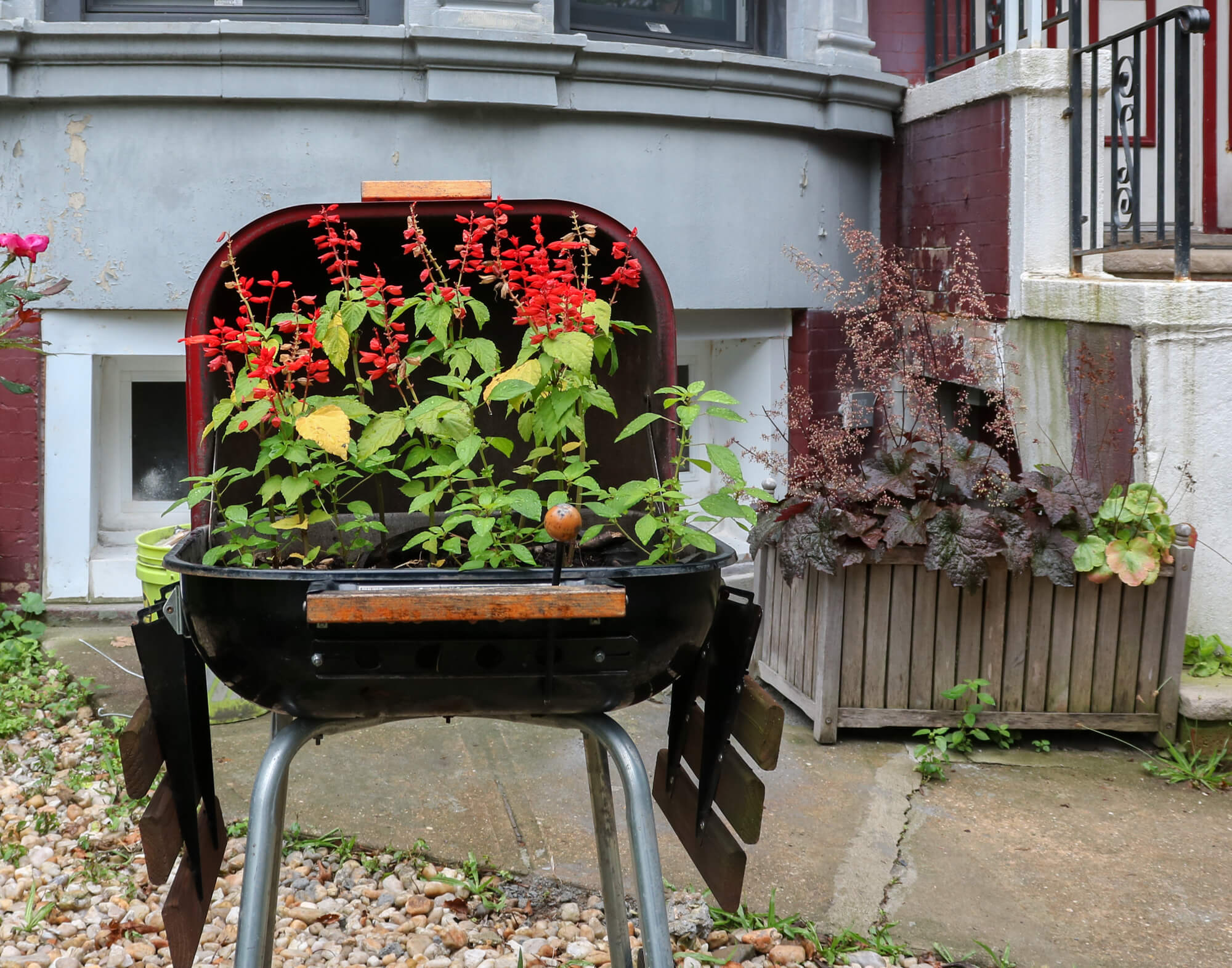 greenest block brooklyn