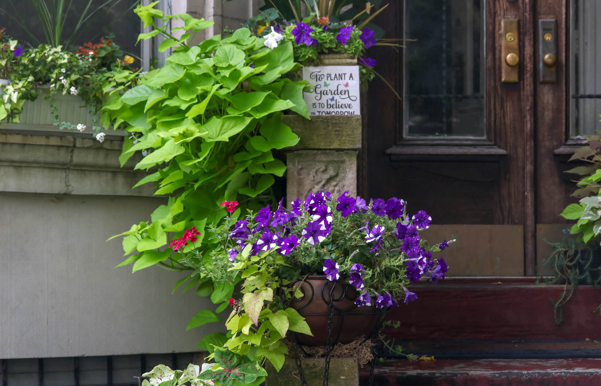 greenest-block-brooklyn-prospect-lefferts-garden-2018-17