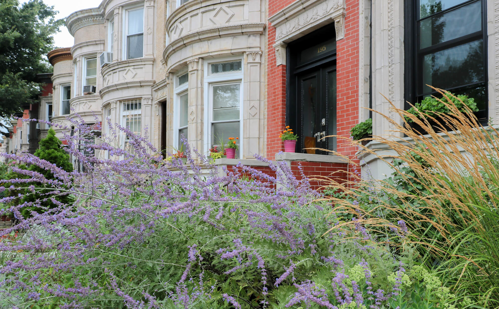 greenest-block-brooklyn-prospect-lefferts-garden-2018-21