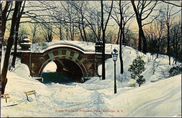 Prospect Park in Winter -- Brooklyn History
