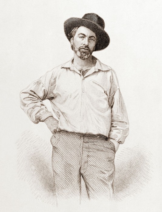 Walt Whitman in 1854. Frontpiece of Leaves of Grass. Wikipedia