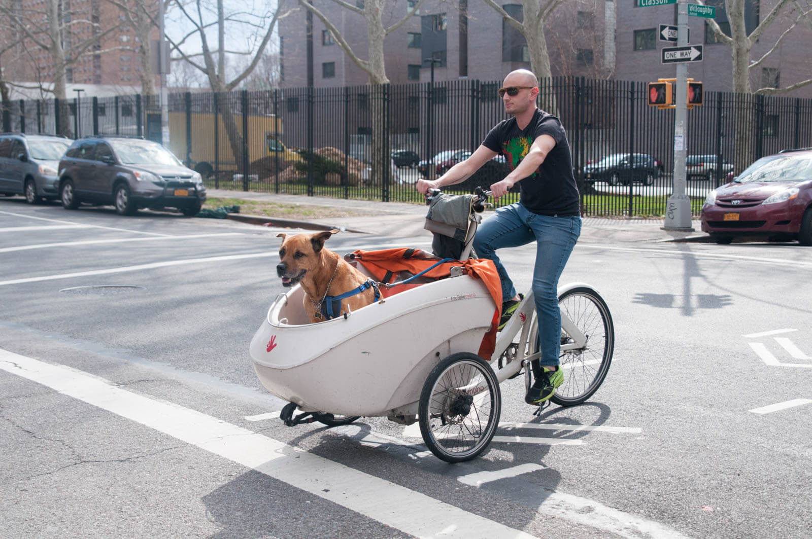 Clinton Hill Brooklyn Dog Stroller