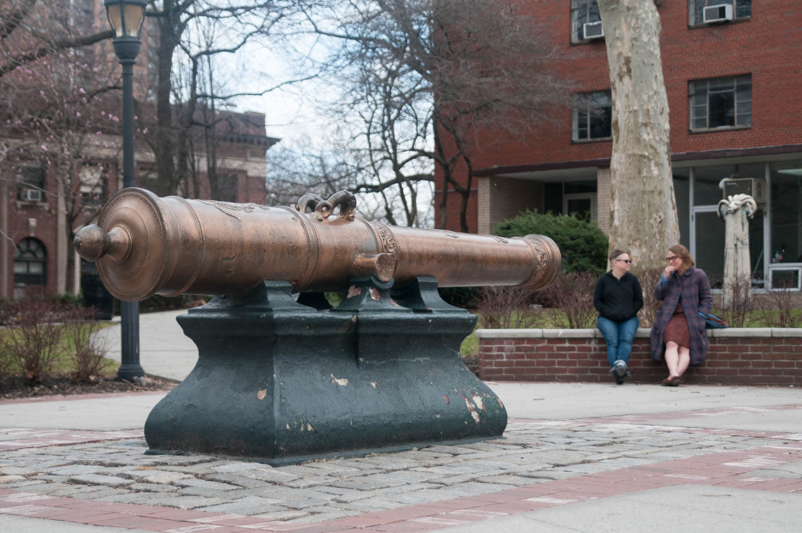 Clinton Hill Brooklyn Pratt University Campus