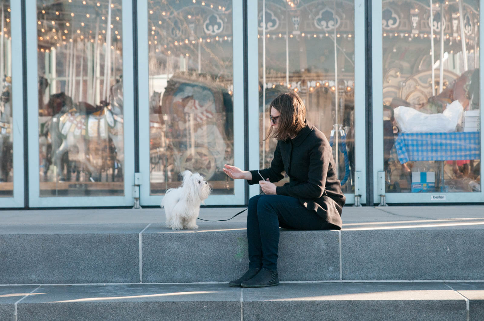 Janes Carousel Brooklyn Dumbo