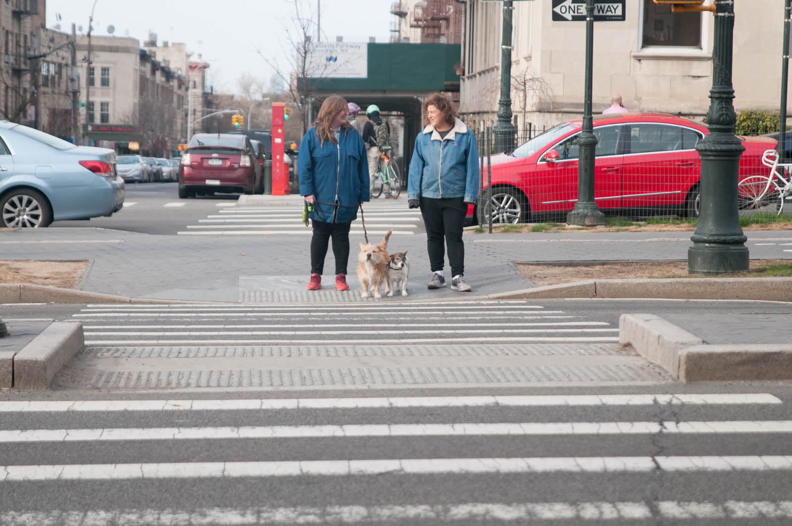 Prospect Heights Brooklyn Walking Dogs Spring 2016